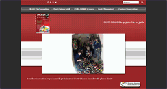 Desktop Screenshot of festichanes.com